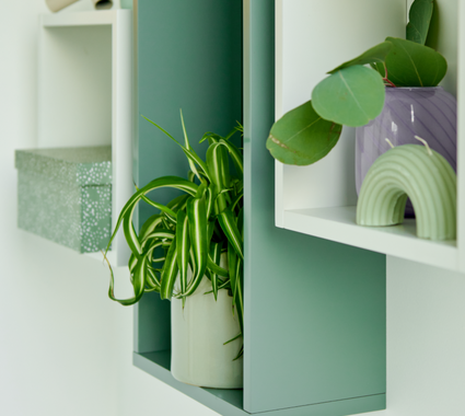 Groene en witte vakkenkast badkamer met decoratieve planten en accessoires voor een frisse en moderne uitstraling.