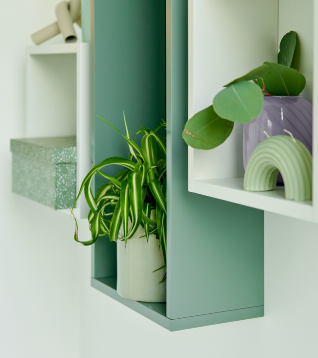 Groene en witte vakkenkast badkamer met decoratieve planten en accessoires voor een frisse en moderne uitstraling.