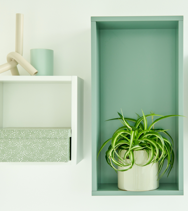 Groene en witte vakkenkasten met decoratieve opbergdoos en plant voor een stijlvolle en functionele badkamerinrichting.