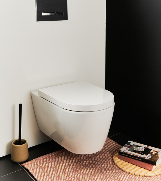 Zwart-wit toilet