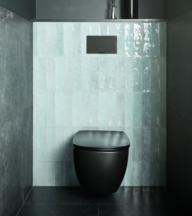 Zwart-mint toilet